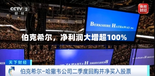伯克希尔，净利润大增超100%-第2张图片