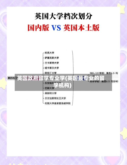 英国政府留学专业学(英国最专业的留学机构)-第2张图片
