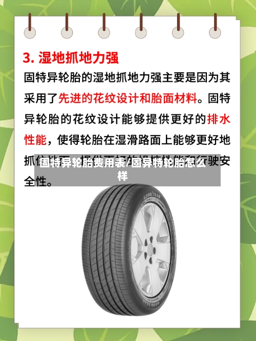 固特异轮胎费用表/固异特轮胎怎么样-第2张图片