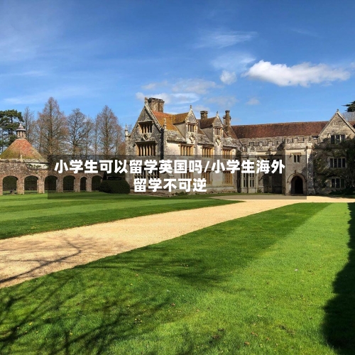 小学生可以留学英国吗/小学生海外留学不可逆-第3张图片