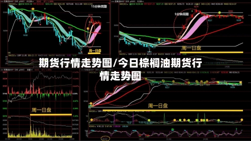期货行情走势图/今日棕榈油期货行情走势图-第2张图片