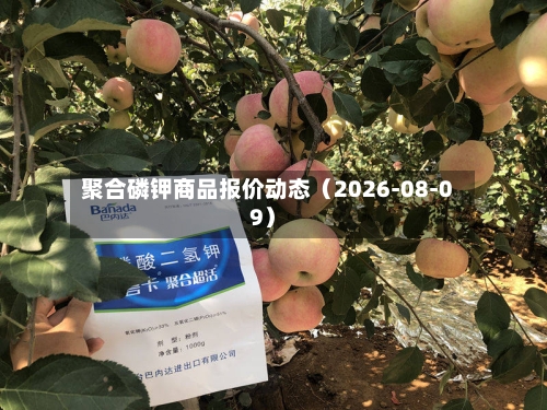 聚合磷钾商品报价动态（2026-08-09）-第2张图片