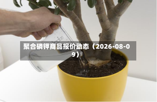 聚合磷钾商品报价动态（2026-08-09）-第3张图片
