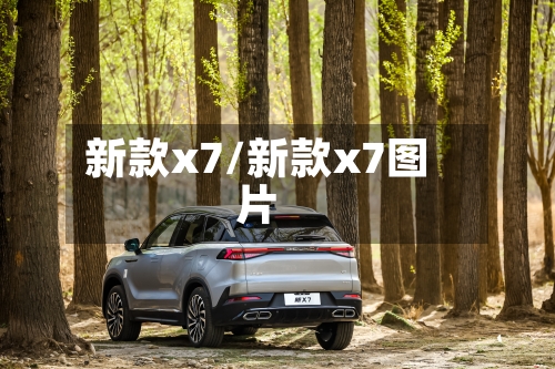 新款x7/新款x7图片