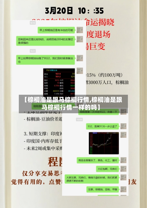 【棕榈油是跟马棕榈行情,棕榈油是跟马棕榈行情一样的吗】