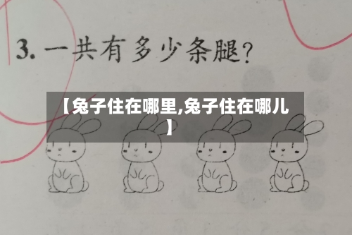 【兔子住在哪里,兔子住在哪儿】-第3张图片