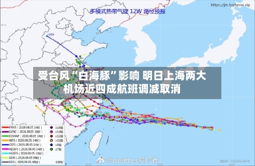受台风“白海豚”影响 明日上海两大机场近四成航班调减取消