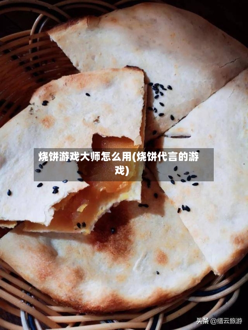 烧饼游戏大师怎么用(烧饼代言的游戏)