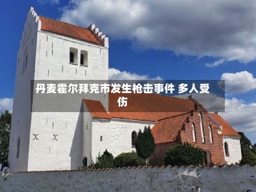 丹麦霍尔拜克市发生枪击事件 多人受伤-第3张图片