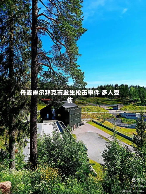 丹麦霍尔拜克市发生枪击事件 多人受伤