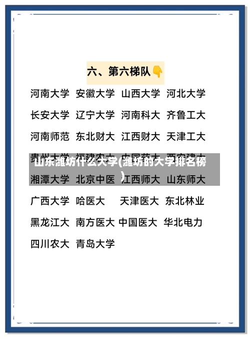 山东潍坊什么大学(潍坊的大学排名榜)-第2张图片