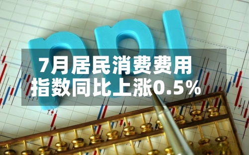 7月居民消费费用指数同比上涨0.5%