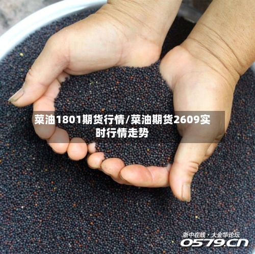 菜油1801期货行情/菜油期货2609实时行情走势