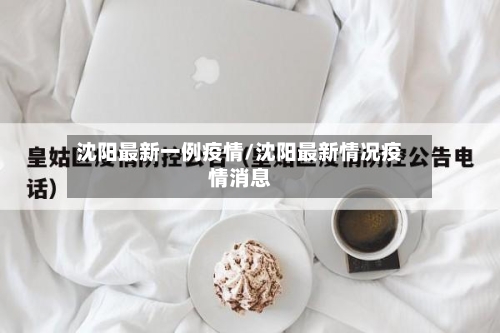 沈阳最新一例疫情/沈阳最新情况疫情消息-第3张图片
