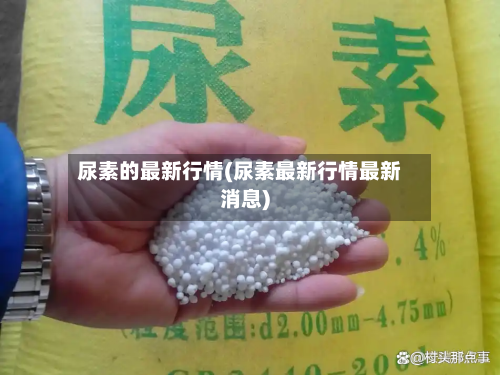 尿素的最新行情(尿素最新行情最新消息)
