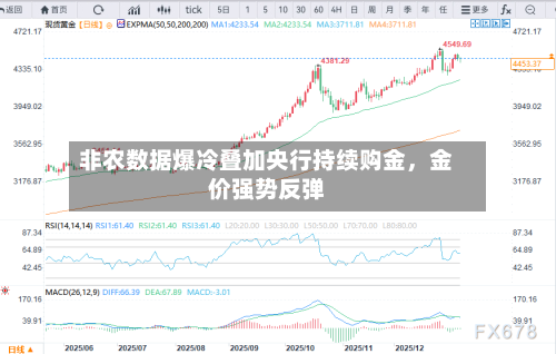 非农数据爆冷叠加央行持续购金，金价强势反弹-第3张图片