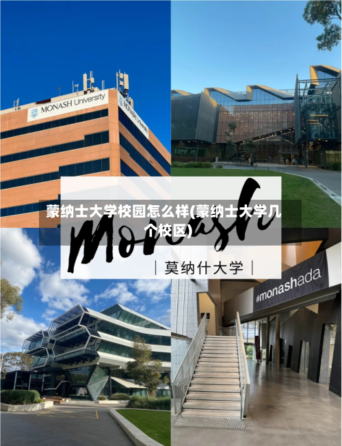 蒙纳士大学校园怎么样(蒙纳士大学几个校区)-第2张图片
