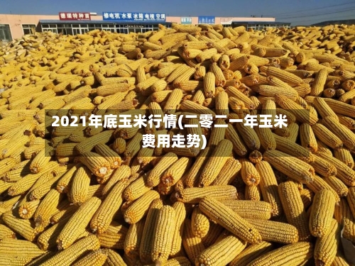 2021年底玉米行情(二零二一年玉米费用走势)
