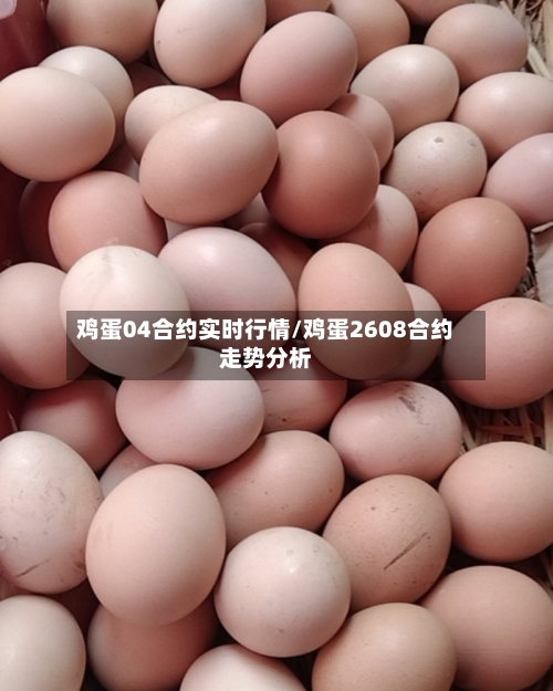 鸡蛋04合约实时行情/鸡蛋2608合约走势分析
