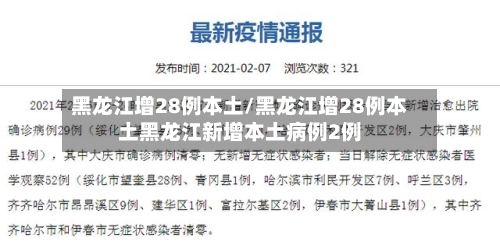 黑龙江增28例本土/黑龙江增28例本土黑龙江新增本土病例2例-第2张图片