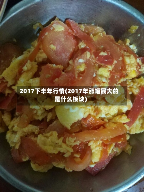 2017下半年行情(2017年涨幅最大的是什么板块)