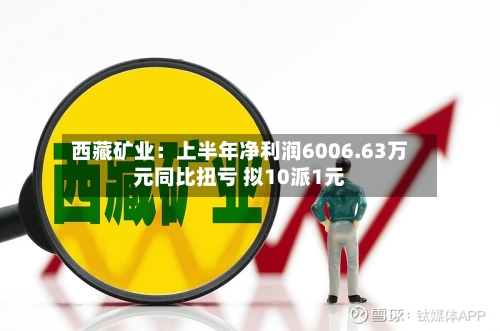 西藏矿业：上半年净利润6006.63万元同比扭亏 拟10派1元-第1张图片