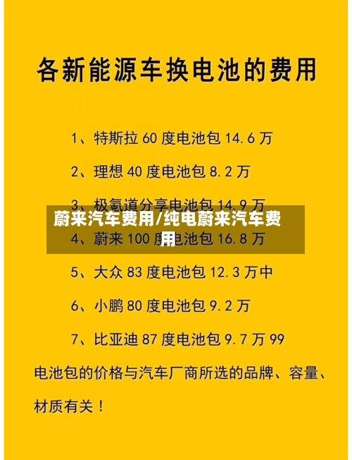 蔚来汽车费用/纯电蔚来汽车费用-第2张图片