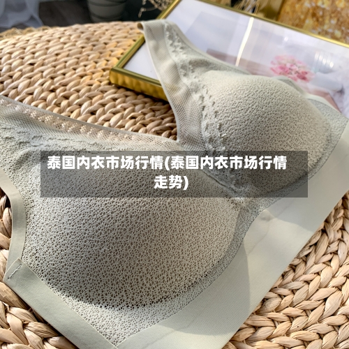泰国内衣市场行情(泰国内衣市场行情走势)-第2张图片