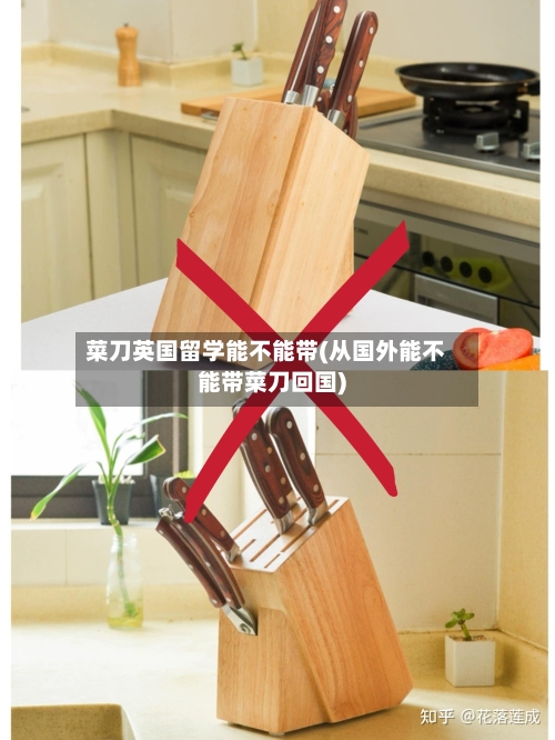 菜刀英国留学能不能带(从国外能不能带菜刀回国)