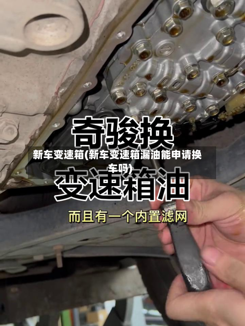 新车变速箱(新车变速箱漏油能申请换车吗)-第3张图片