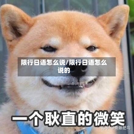 限行日语怎么说/限行日语怎么说的