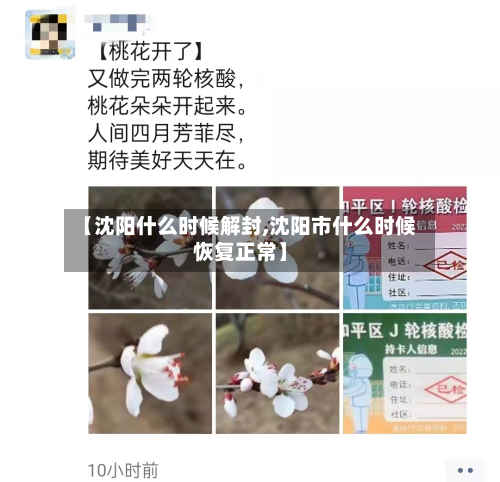 【沈阳什么时候解封,沈阳市什么时候恢复正常】