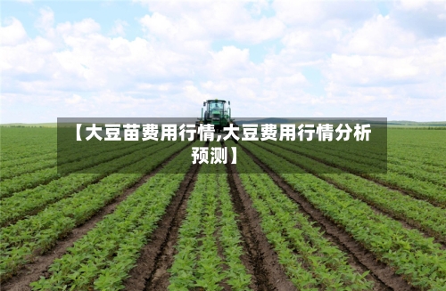 【大豆苗费用行情,大豆费用行情分析预测】
