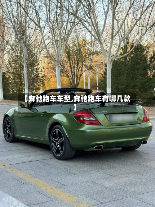 【奔驰跑车车型,奔驰跑车有哪几款】