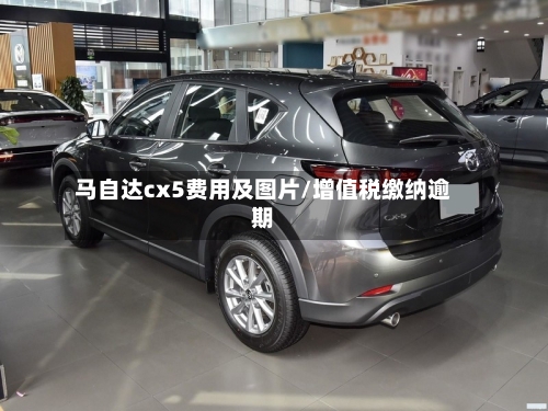 马自达cx5费用及图片/增值税缴纳逾期-第2张图片