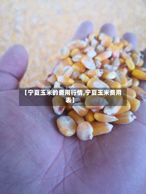【宁夏玉米的费用行情,宁夏玉米费用表】