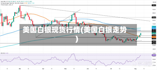 美国白银现货行情(美国白银走势)
