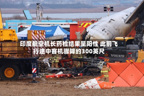 印度航空机长药检结果呈阳性 此前飞行途中客机骤降约300英尺