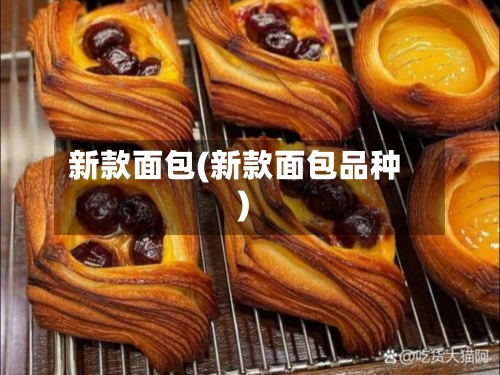 新款面包(新款面包品种)