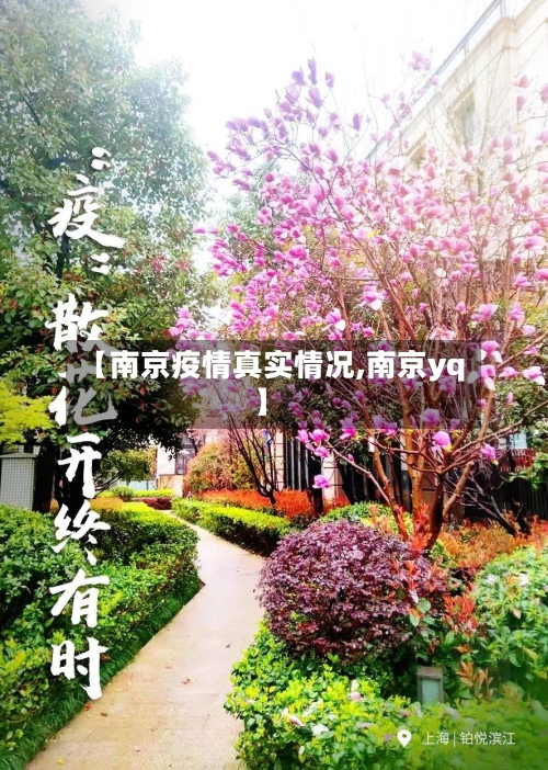 【南京疫情真实情况,南京yq】-第2张图片