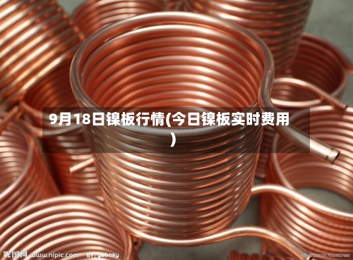 9月18日镍板行情(今日镍板实时费用)-第3张图片