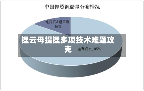 锂云母提锂多项技术难题攻克