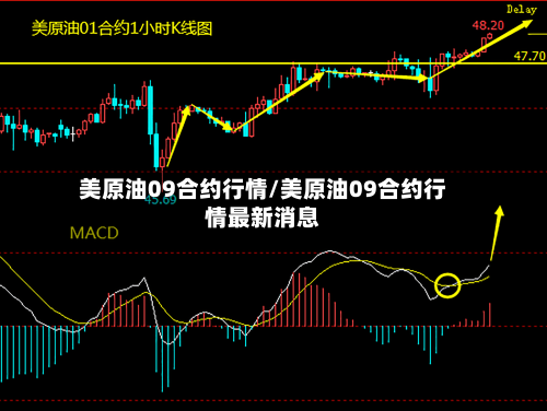 美原油09合约行情/美原油09合约行情最新消息-第2张图片