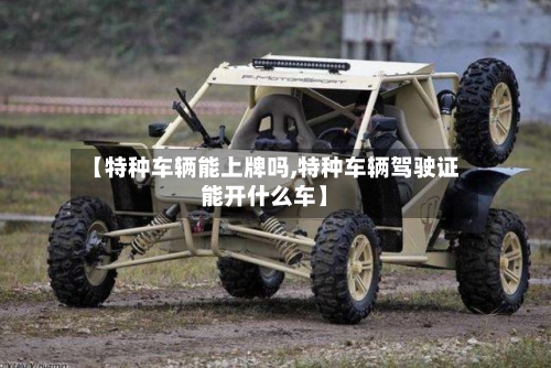 【特种车辆能上牌吗,特种车辆驾驶证能开什么车】-第3张图片
