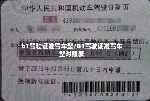 b1驾驶证准驾车型/B1驾驶证准驾车型对照表