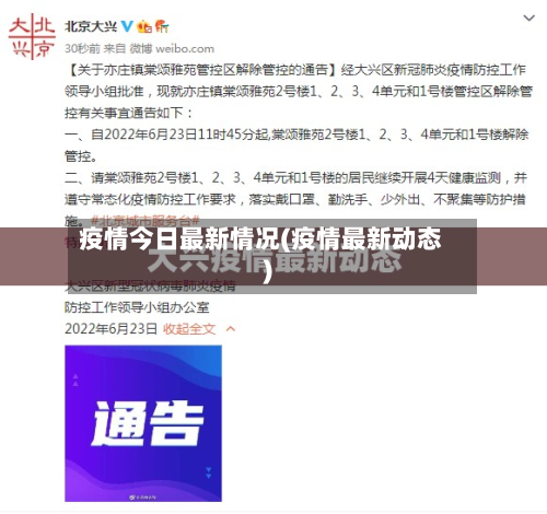 疫情今日最新情况(疫情最新动态)-第2张图片