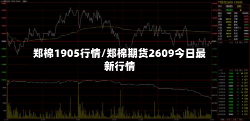 郑棉1905行情/郑棉期货2609今日最新行情-第2张图片