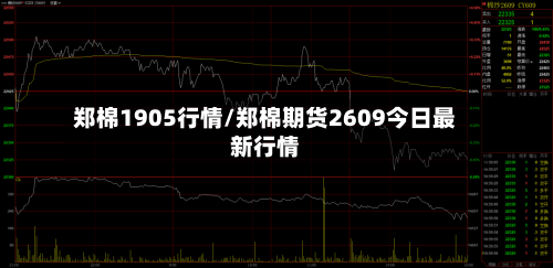 郑棉1905行情/郑棉期货2609今日最新行情