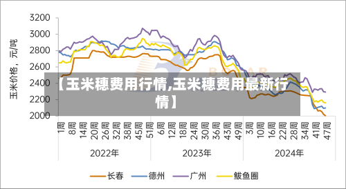 【玉米穗费用行情,玉米穗费用最新行情】-第2张图片