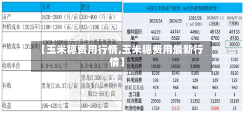 【玉米穗费用行情,玉米穗费用最新行情】